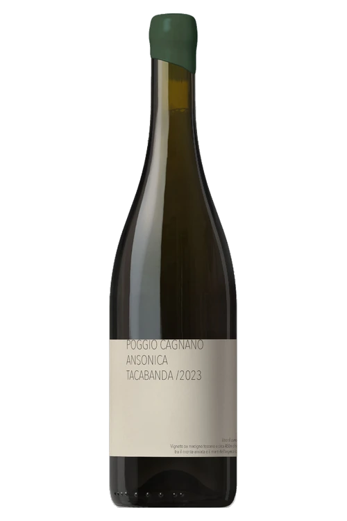 POGGIO CAGNANO TACABANDA ANSONICA